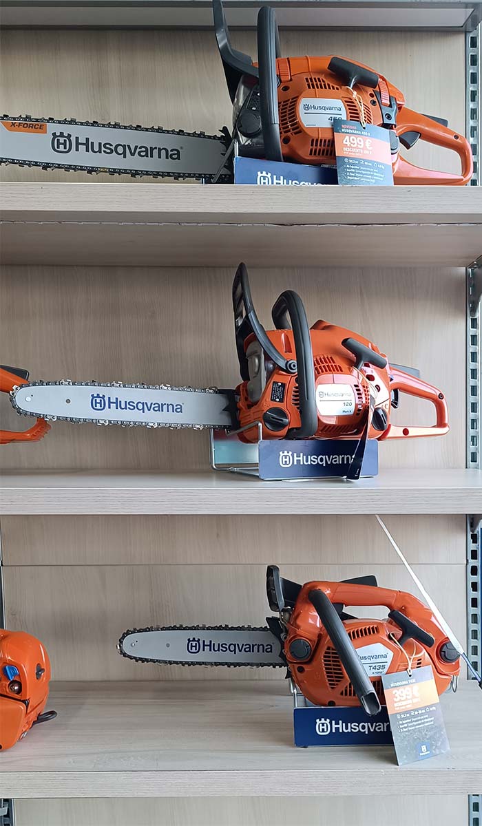 interior-tasan-02 motosierras_en_sagunto_camp_de_morvedre_tasan